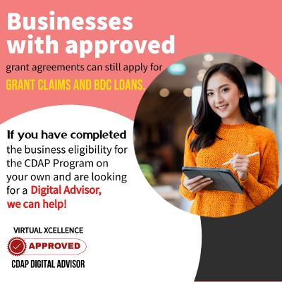 Canada's leading CDAP Digital Advisor for Small Business.